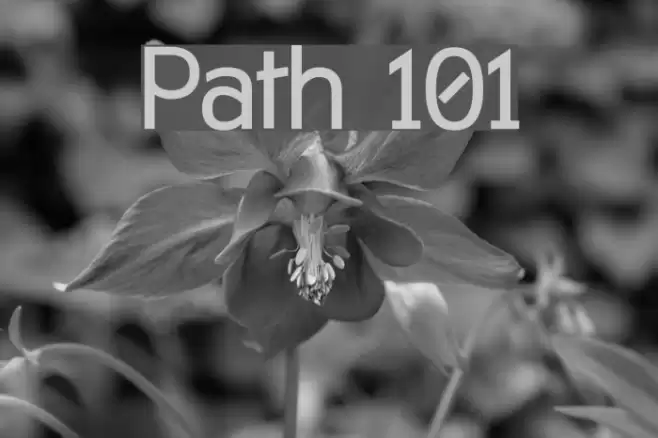 Path 101 Fonte examples