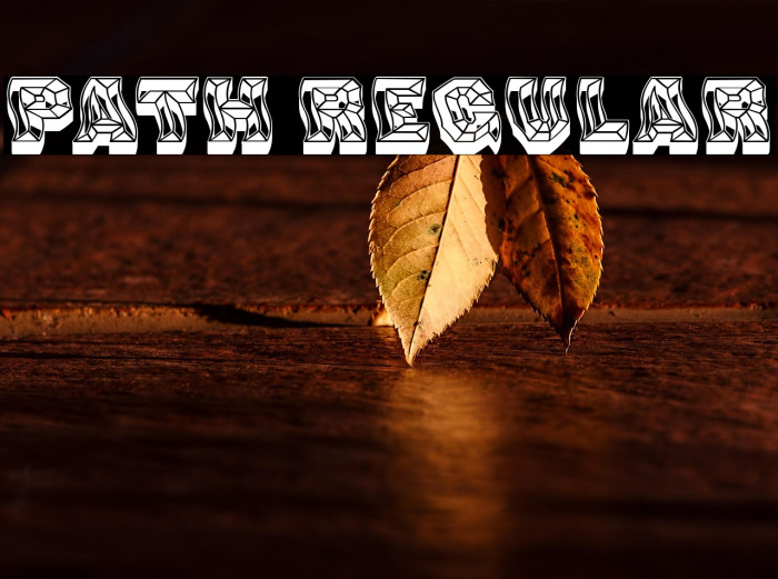 Path Regular Example 2