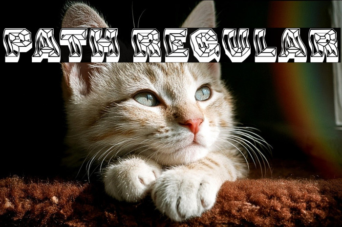 Path Regular Example 3