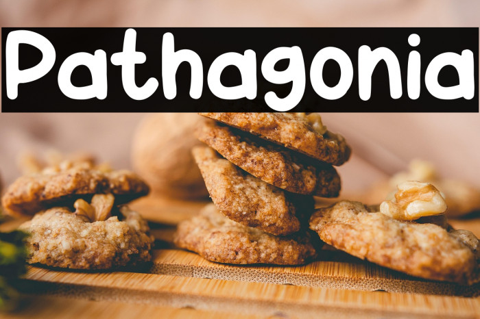 Pathagonia Polices examples