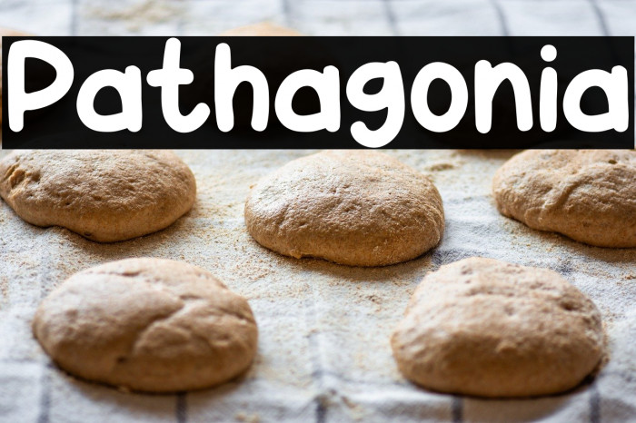 Pathagonia Polices examples