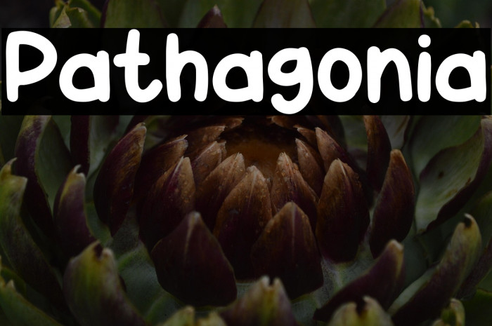 Pathagonia Polices examples