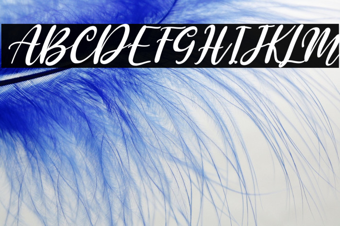 Pather Times Italic Example 2