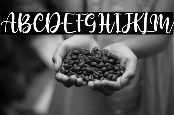 Pather Times Font examples