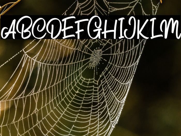 Pathita Script Regular Example 2