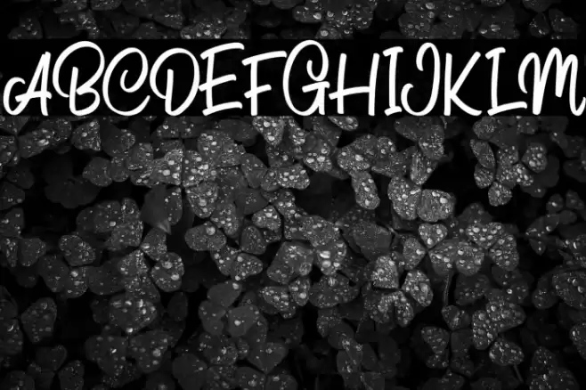 Pathita Script Regular Fuentes examples