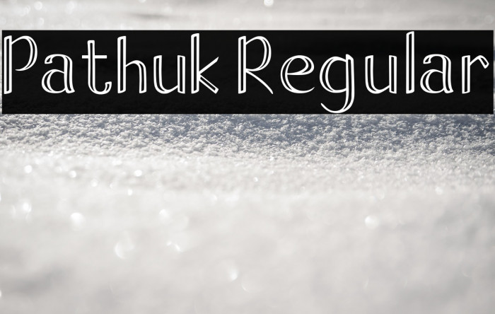 Pathuk Regular Example 1