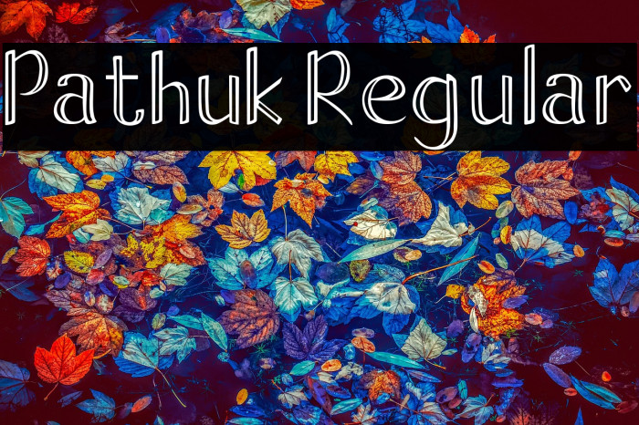 Pathuk Regular Example 3