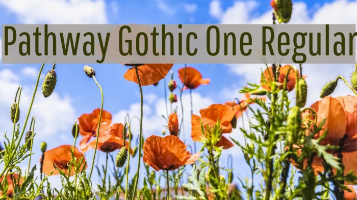 Pathway Gothic One Regular Font examples