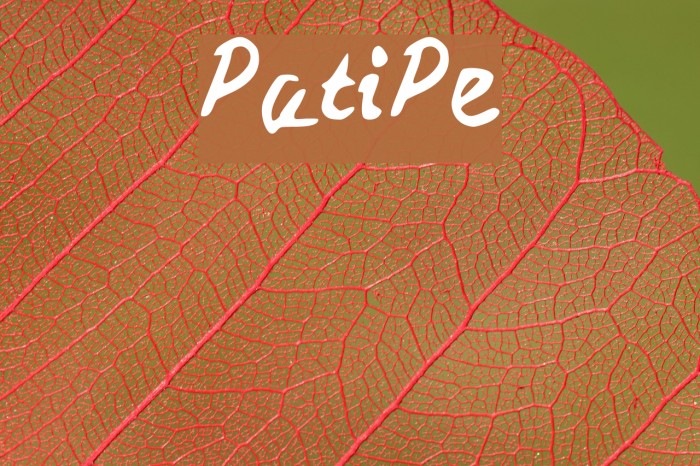 PatiPe Font examples