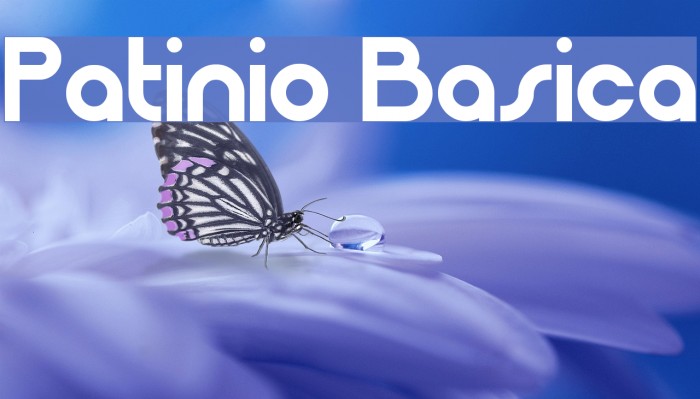 Patinio Basica Font examples