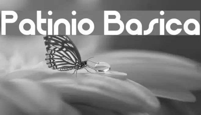 Patinio Basica Font examples