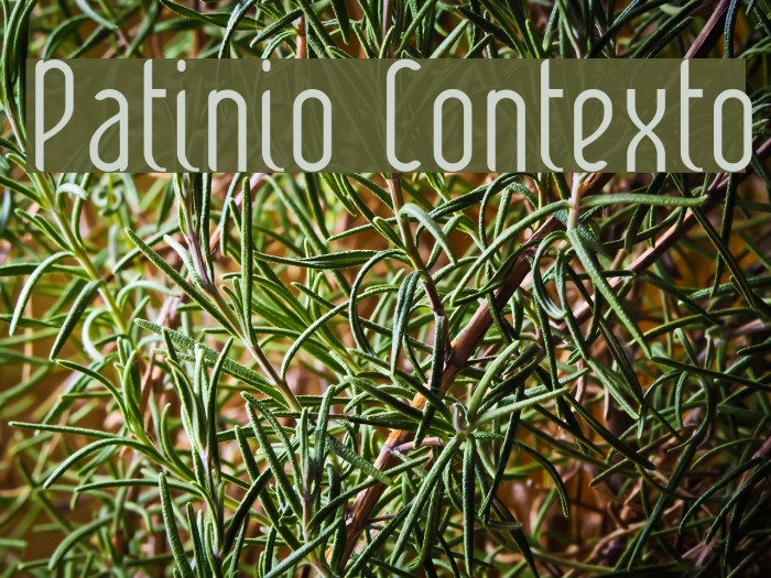 Patinio Contexto Font examples