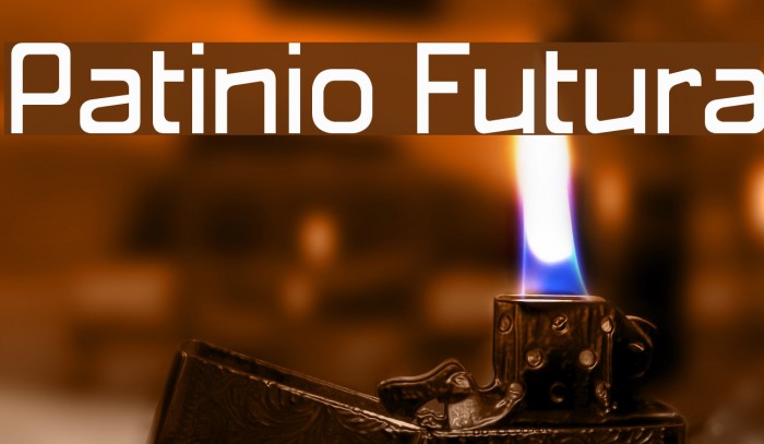 Patinio Futura Font examples