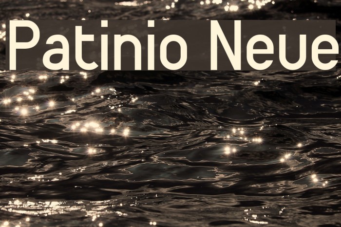 Patinio Neue Font examples
