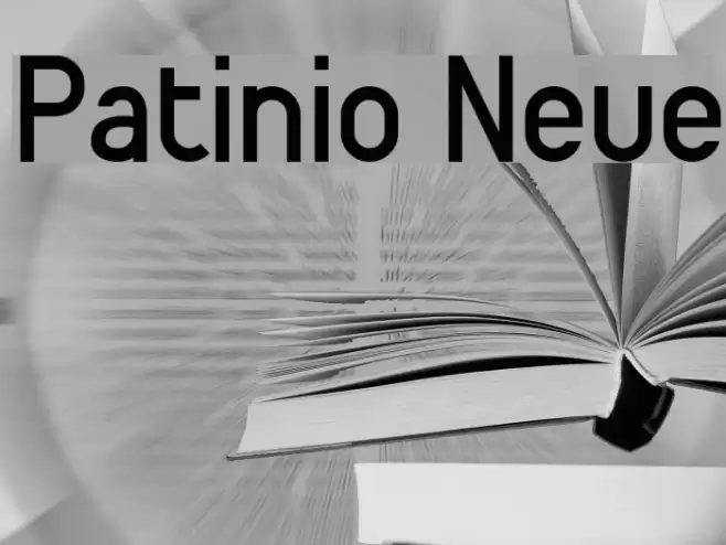 Patinio Neue Font examples