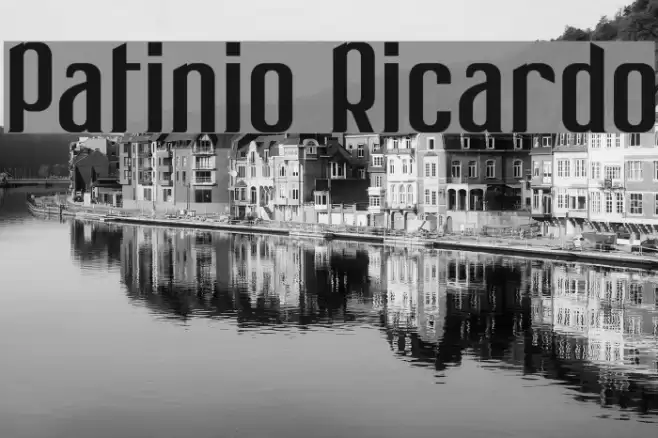 Patinio Ricardo Font examples