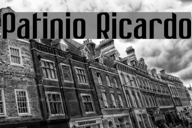 Patinio Ricardo Font examples