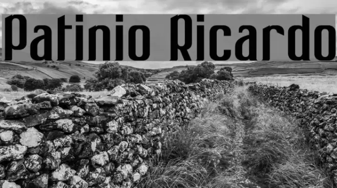 Patinio Ricardo Font examples