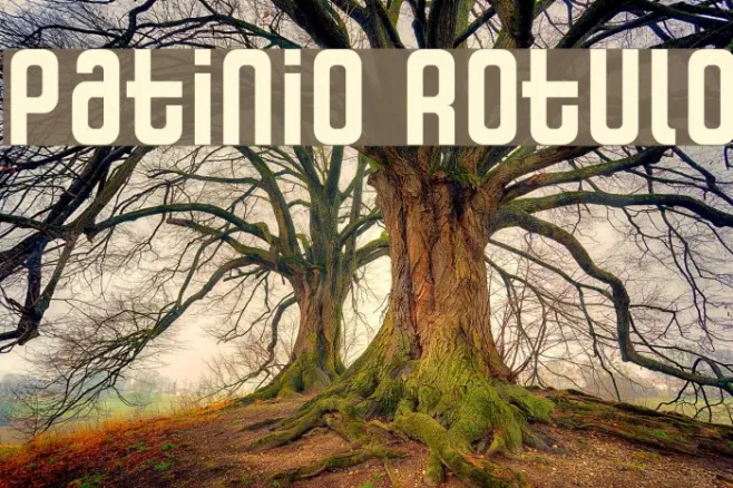 Patinio Rotulo Example 2