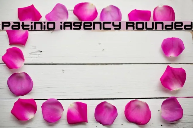 Patinio iAgency Rounded Example 1