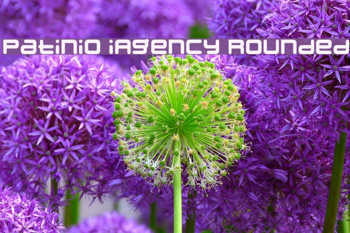 Patinio iAgency Rounded Font examples