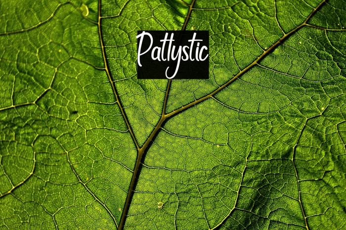 Patlystic Example 3