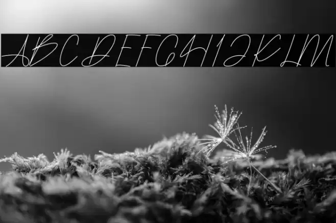 Patoryi Polices examples