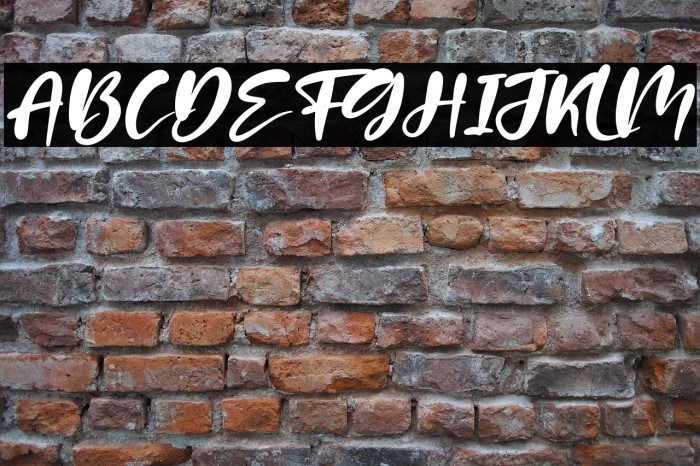 Patria Vista Italic Example 1