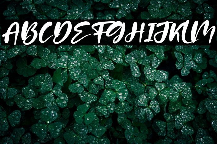 Patria Vista Italic Example 2