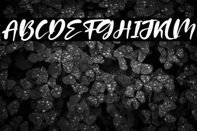 Patria Vista Italic Font examples