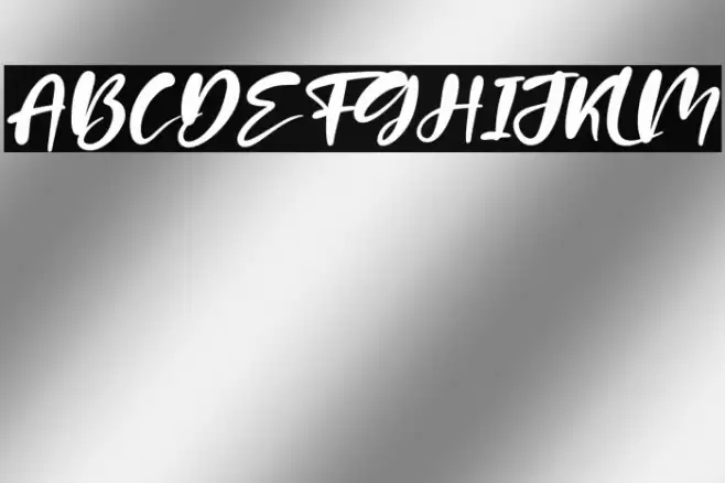 Patria Vista Italic Font examples