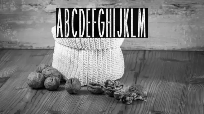 Patrice Stamp Demo Schriftart examples