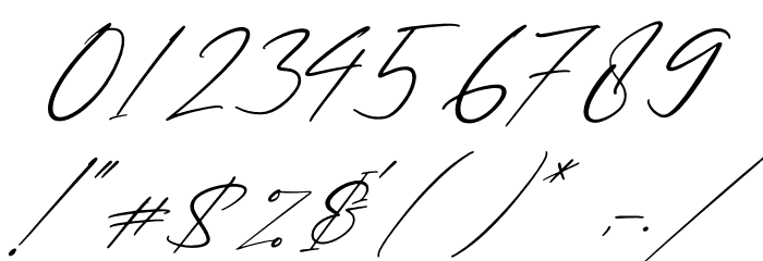 Patricia Signature Italic Font OTHER CHARS