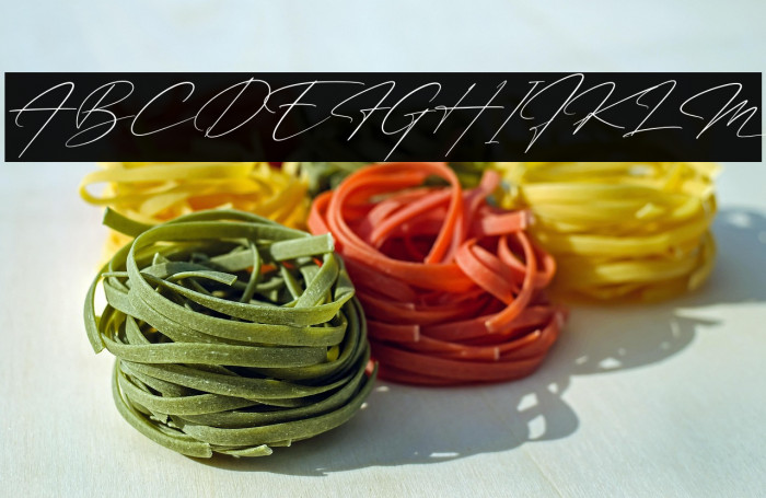 Patricia Signature Italic Example 1