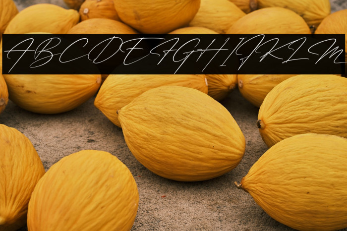 Patricia Signature Italic Example 3