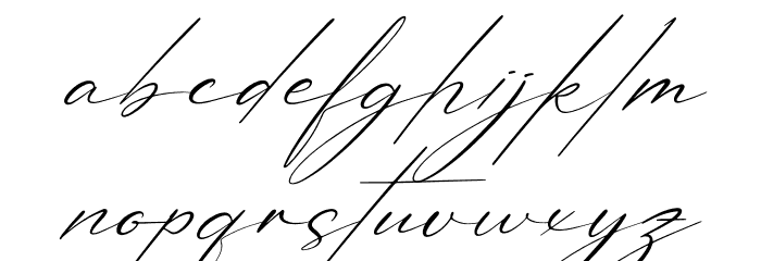 Patricia Signature Italic Font LOWERCASE