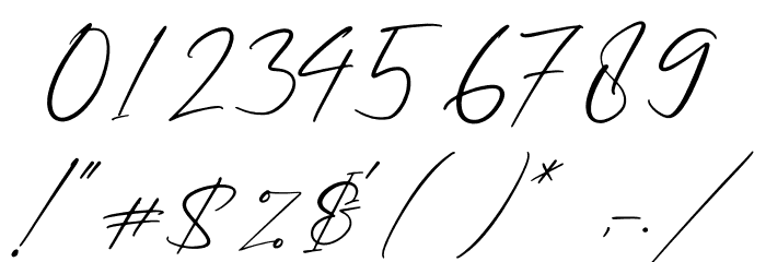 Patricia Signature Font OTHER CHARS