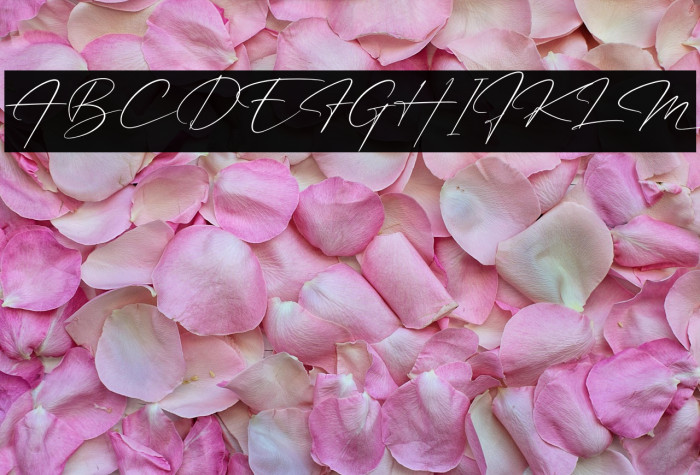 Patricia Signature Example 2