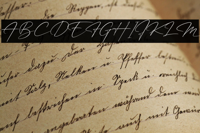 Patricia Signature Example 3