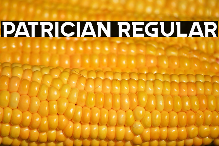 Patrician Regular Example 1