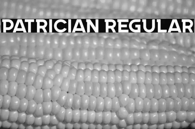 Patrician Regular Font examples