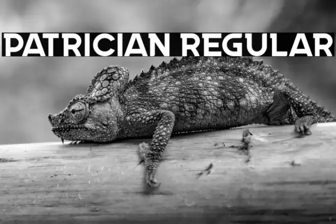 Patrician Regular Font examples