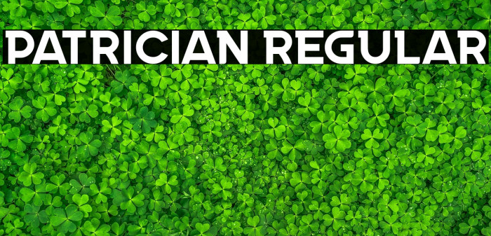 Patrician Regular Example 3