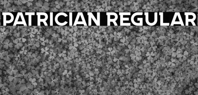 Patrician Regular Font examples