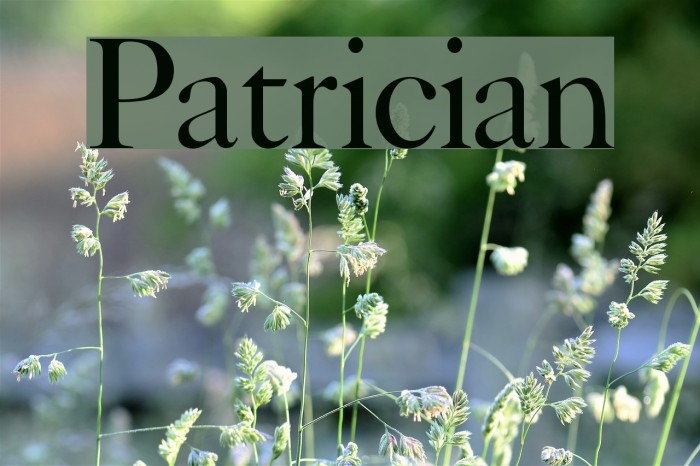 Patrician!` Font examples