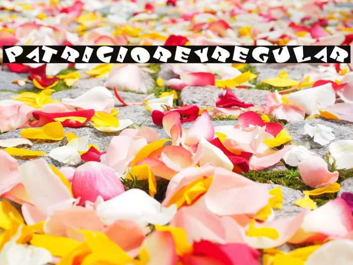 Patricio Rey Regular Example 1
