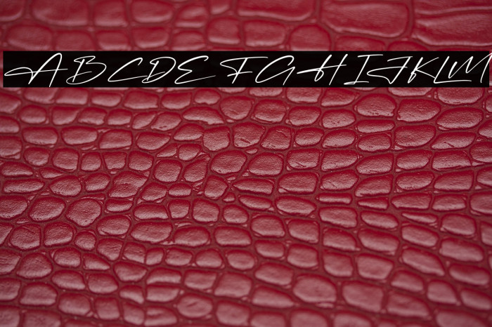 Patrick Amtesa Example 2