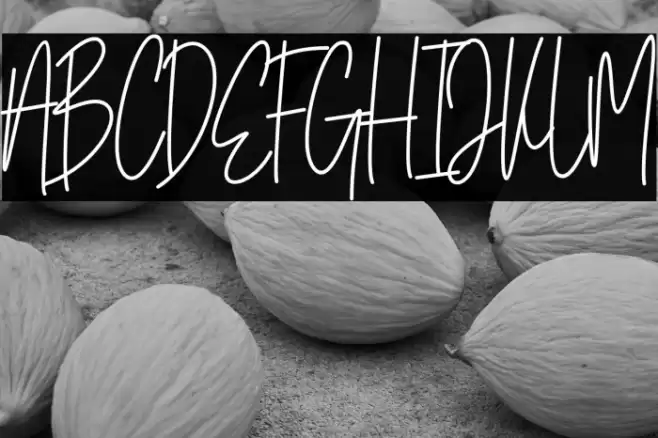 Patrick Cleo Font examples