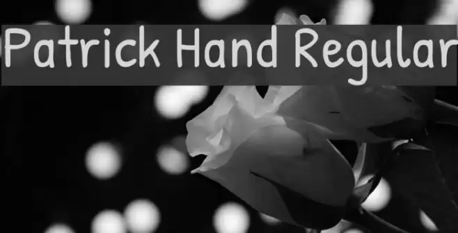 Patrick Hand Regular Font examples